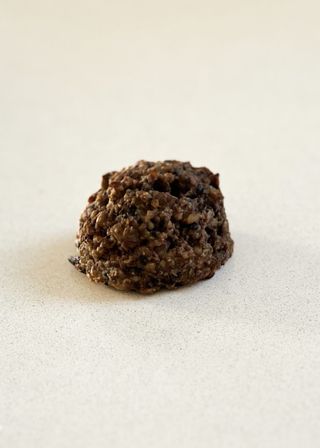 Vegan Fitness Cookie (gluten free)