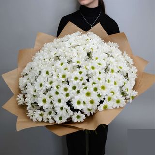 Букет 25 Хризантем 70 см 