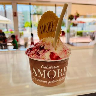 Helado (1/2 Kg)