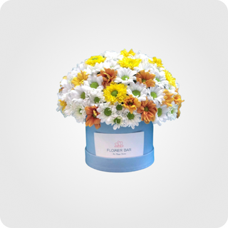  კომპოზიცია B -5