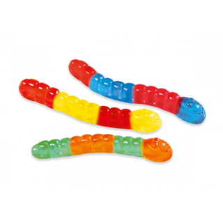 Gusano Brillo 