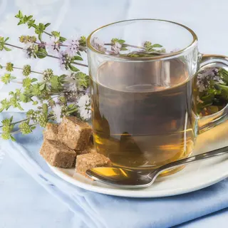 Menta Poleo