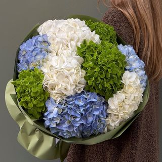 Mix Hortensias 