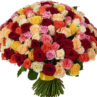 151 різнокольорова троянда