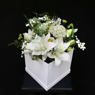 Caja de Lilium Blanco