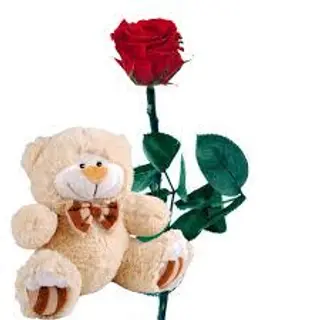 Rosa roja con oso peluche de 10 cms