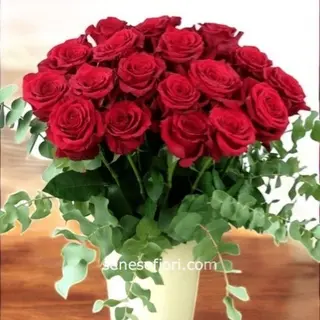Bouquet 12 Rose rosse