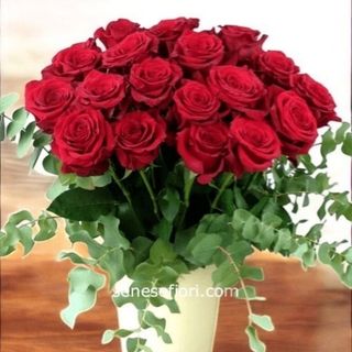 Bouquet 12 Rose rosse