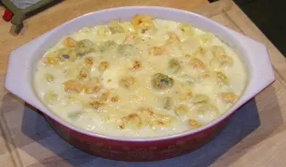 Pasticcio Fromage