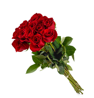 Bouquet De 10 Roses