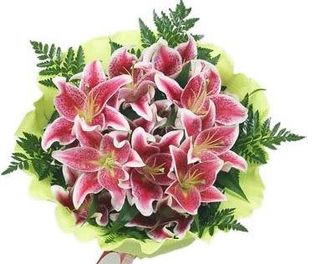 Bouquet De 6 Lilium