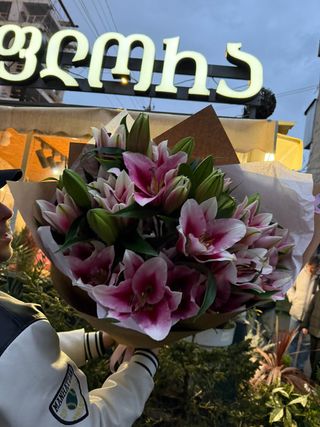 ჰოლანდიური ვარდები, სიმაღლე 80-1 მეტრი