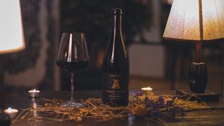 Saperavi - Alazani Cellar