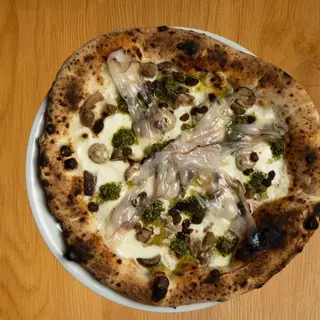Fusion patanegra