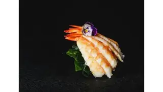 Shrimp Sashimi