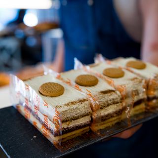 San Marcos De Galleta