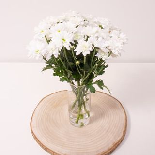 Ramo de margaritas blancas