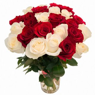 5 biało-czerwonych  ( długość 50-60 cm )