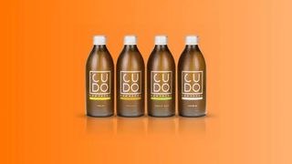 .Kombucha CUDO - Mix