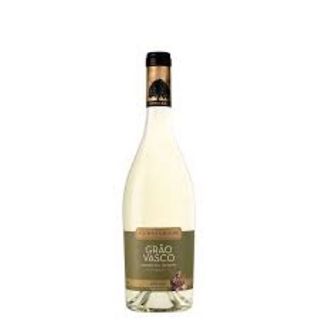 Grão Vasco Branco