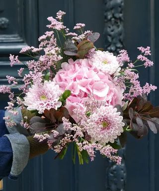  Bouquet de fleurs d'automne - D'Arcy