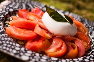 Ensalada De Tomate Con Burrata 