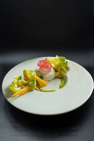 Burratina Mimiosa