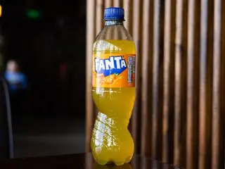 Фанта (0,5l)