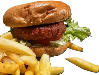Vegan  burger