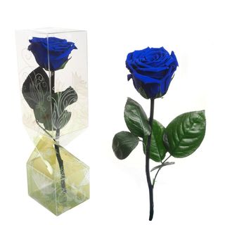 Rosa Eterna Azul Tallo corto