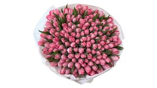 #6 101 różowych tulipanów