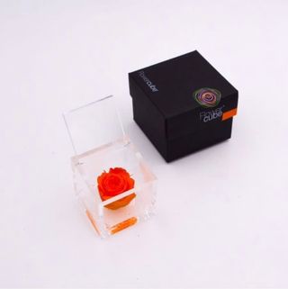 Rosa stabilizzata arancio S