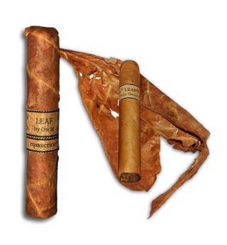 Leaf by Oscar Sixty Connecticut