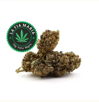 Pata Negra CBD 1Gr