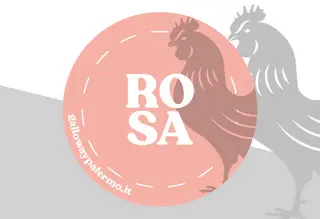 Salsa Rosa