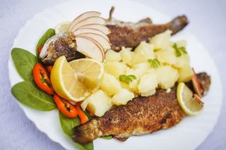 Pastrva sa žara, krumpir salata