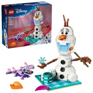 Distractie la picnic cu Olaf si Bruni - 43287