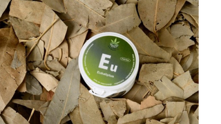 Eukaliptus do Aromaterapii