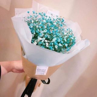 ცისფერი  გიფსოფილა