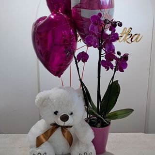 Storczyk w doniczce ceramicznej+miś+3 balony z helem. 