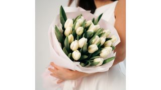 Bukiet z 17 białych tulipanów