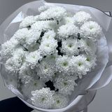 9 Crengute de crizantema 