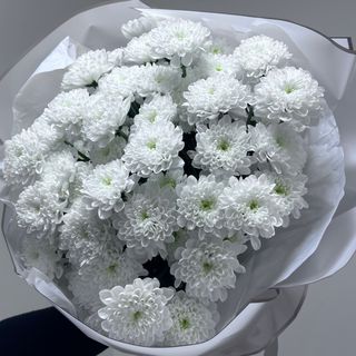 9 Crengute de crizantema 