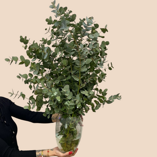 Jarrón de cristal con eucalipto