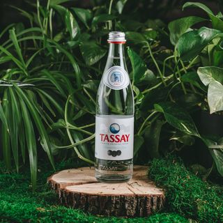 Вода Тассай (0,5 л.)