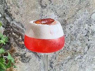 Jungle bird (170 мл)