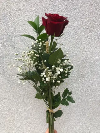 Rosa Roja