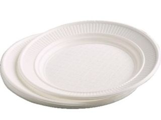 Plato de plástico 