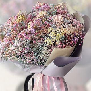 Gipsówka kolorowa mix.