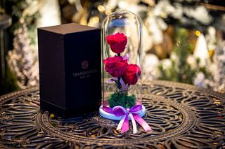 Trandafiri criogenați cyclam